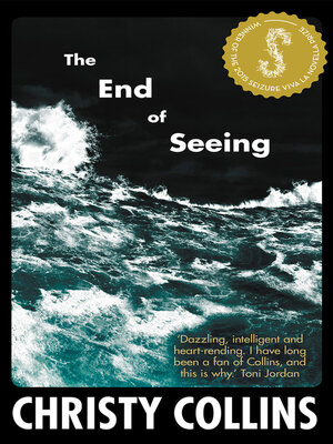 cover image of The End of Seeing